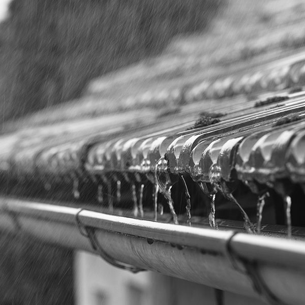 Installation recuperateur eau de pluie belli